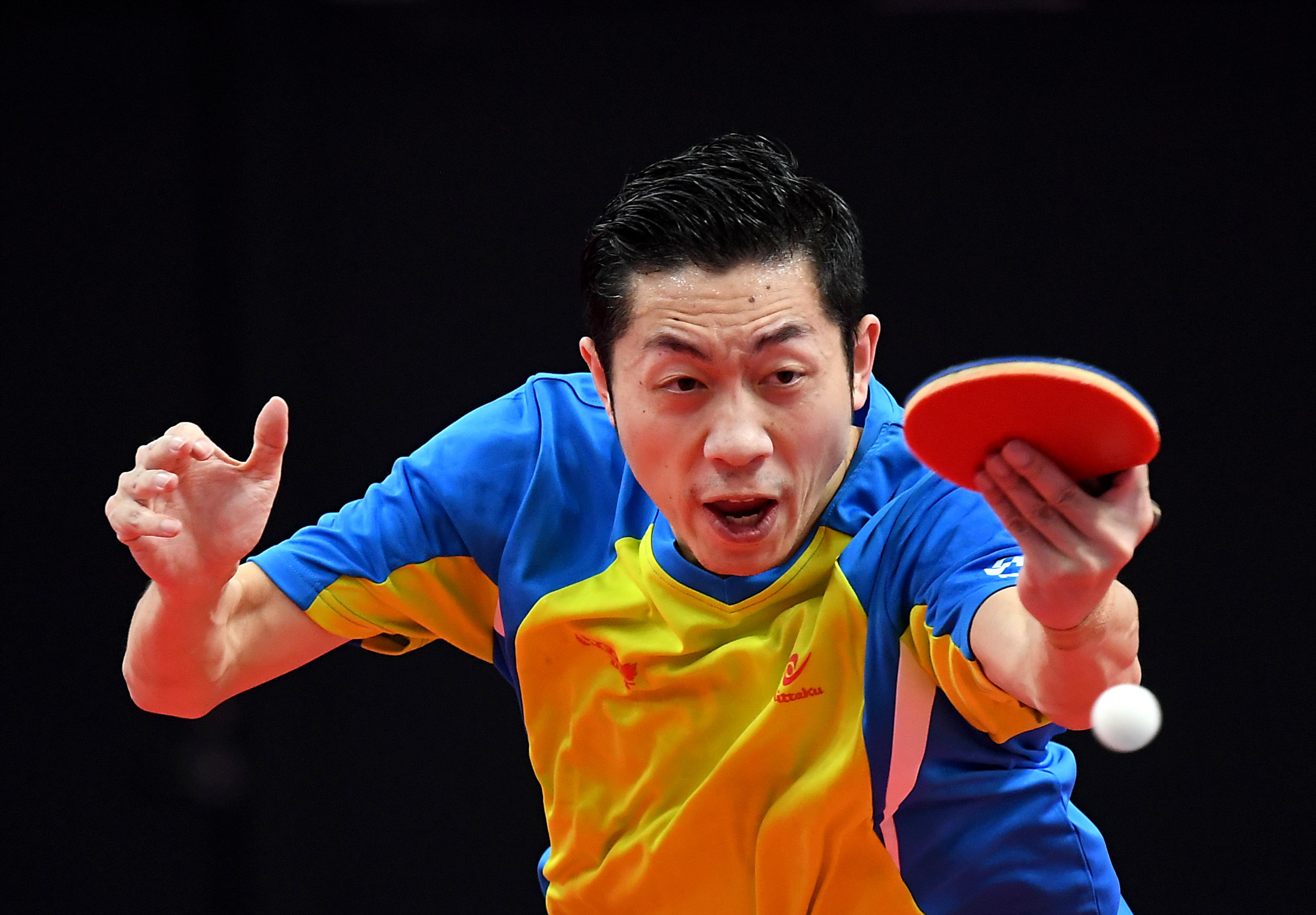 英国乒乓球队爆冷德国乒乓球队,许昕高光表现的简单介绍 英国乒乓球队爆冷德国乒乓球队,许昕高光表现的简单介绍