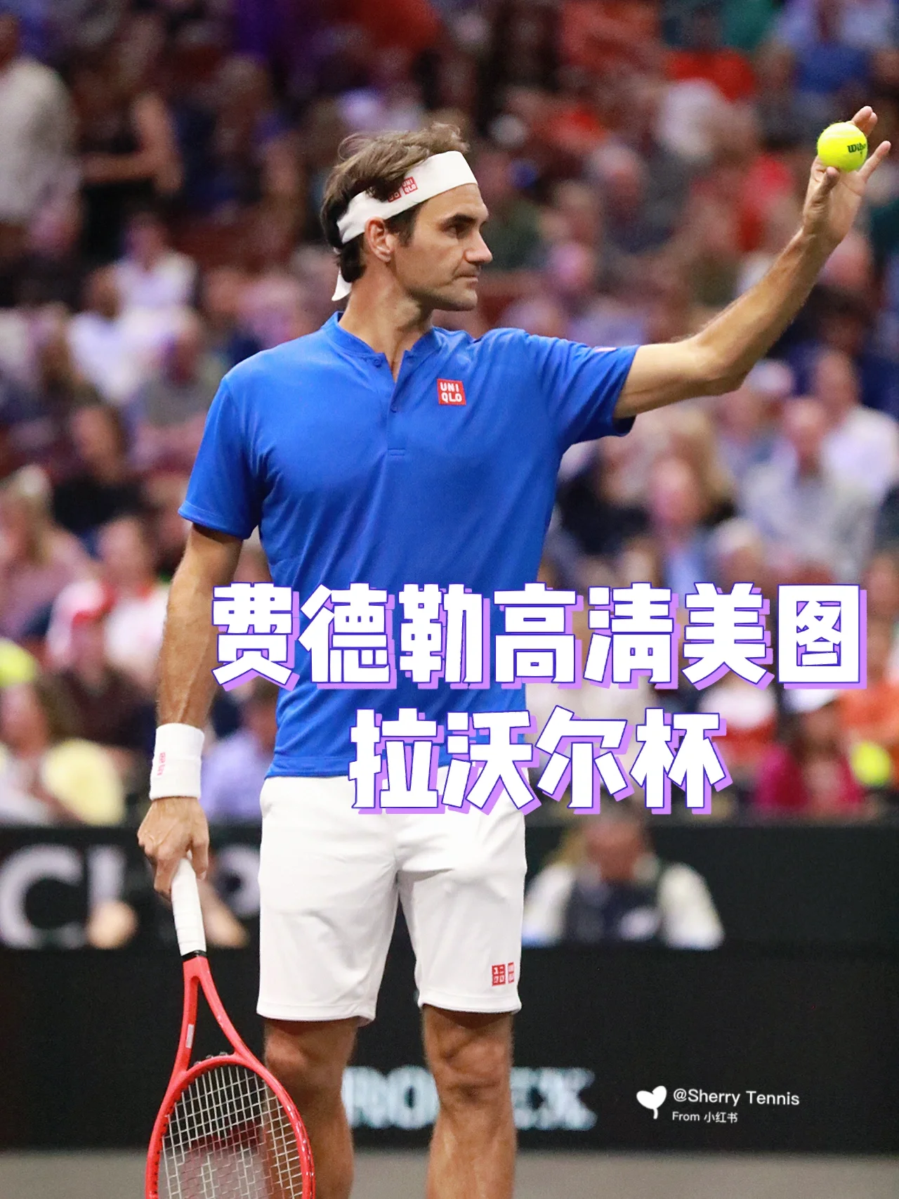 包含世界网球队横扫西班牙网球队，费德勒惊艳世界的词条