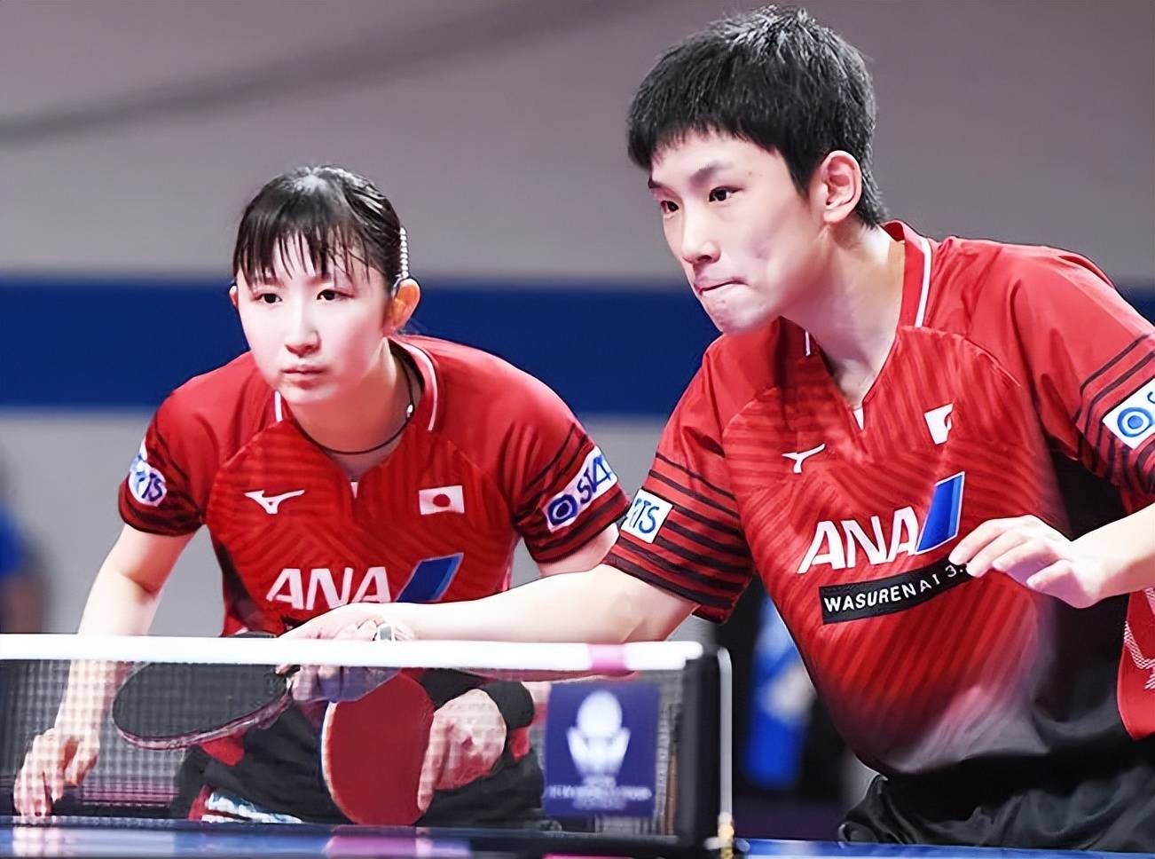 韩国队逆转日本队,张本智和带队取胜 韩国队逆转日本队,张本智和带队取胜