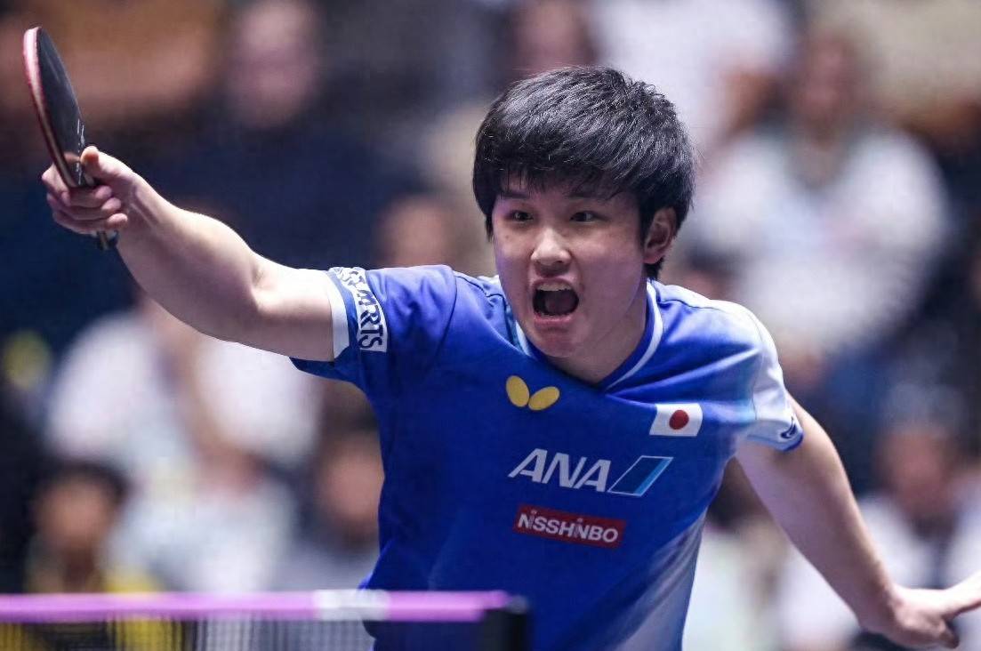 开云体育官网-瑞典队绝杀法国队，张本智和关键制胜的简单介绍