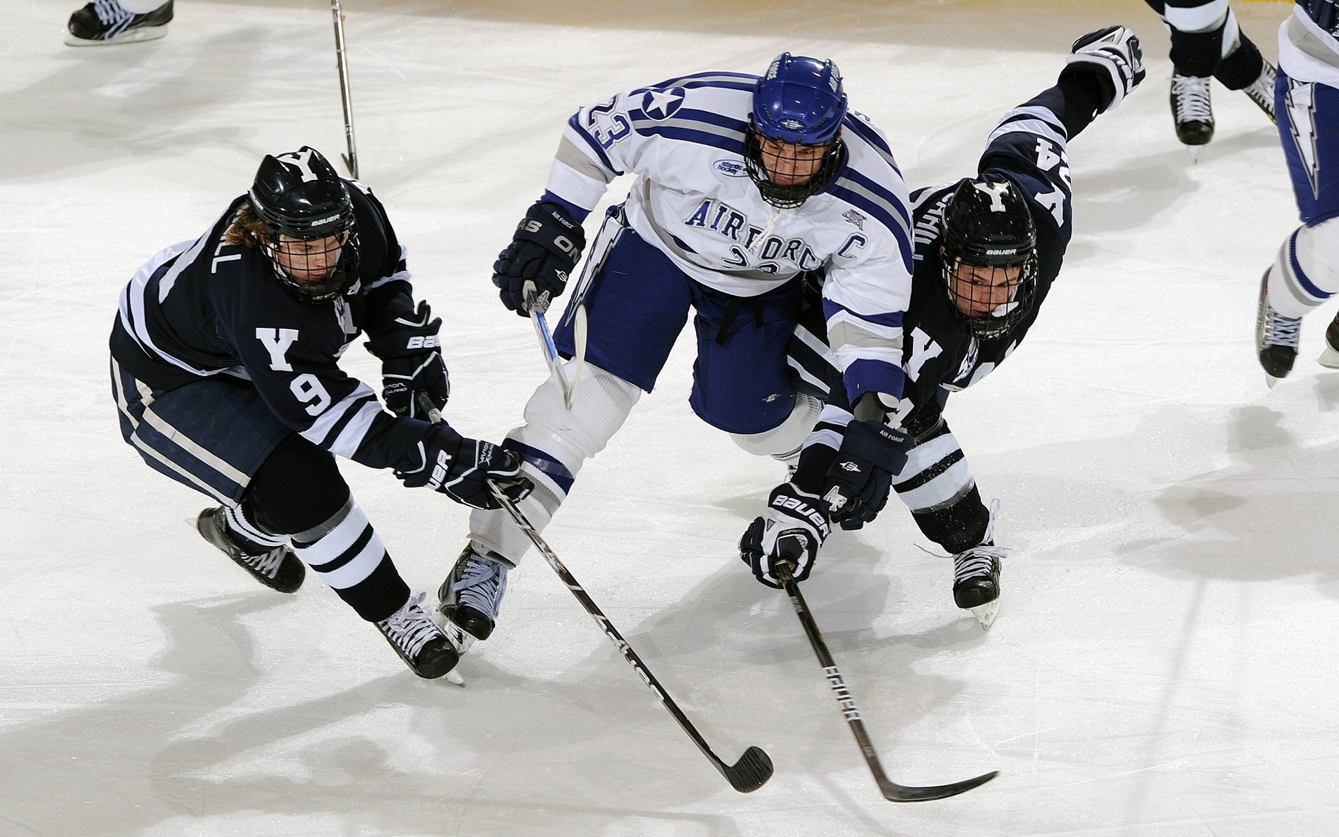开云下载-赛道与绿茵场，速度与意志的双重奏